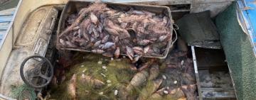 На Одещині викрито браконьєрів, які завдали державі збитків на понад півтора мільйони гривень 